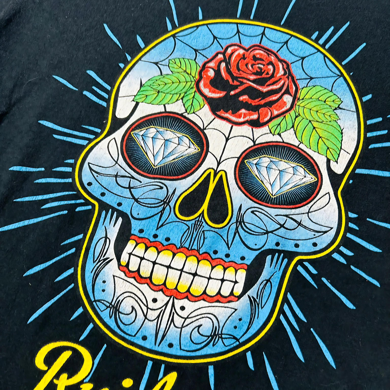 New Mexico Skull Long Sleeve Vintage Graphic T