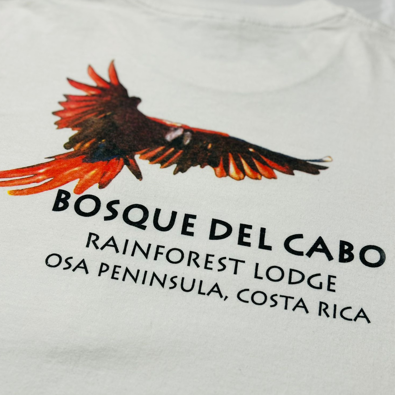 Bosque Del Cabo Vintage Graphic T