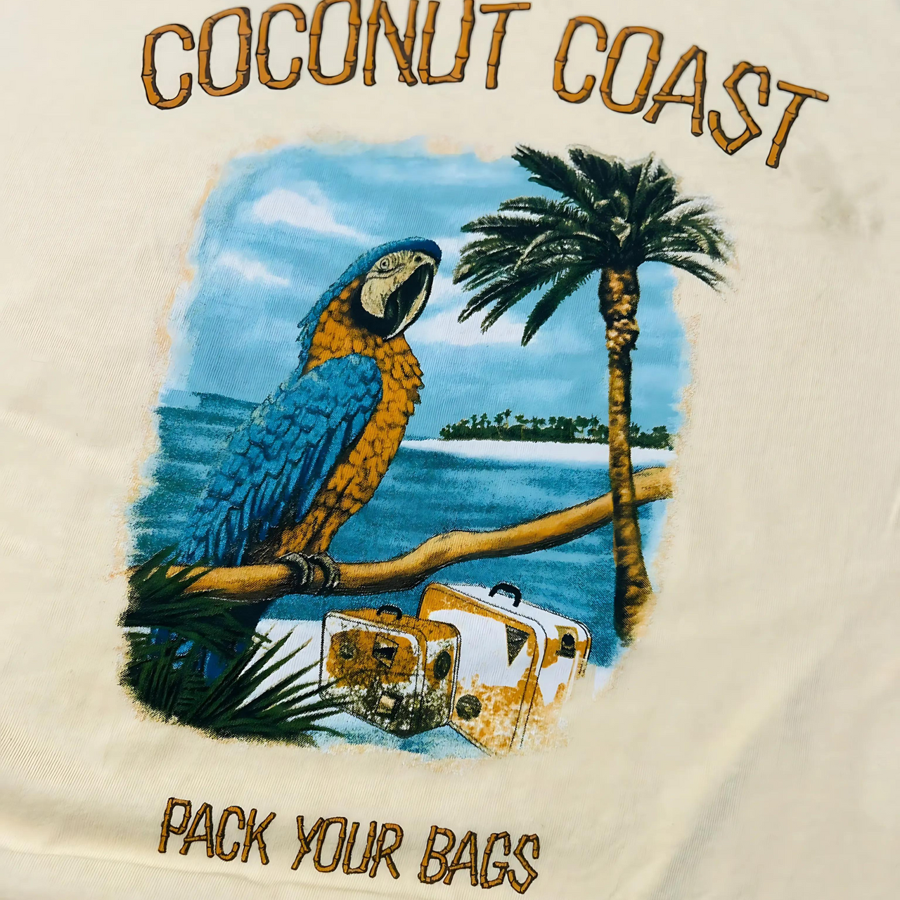 Coconut Coast Vintage Graphic T