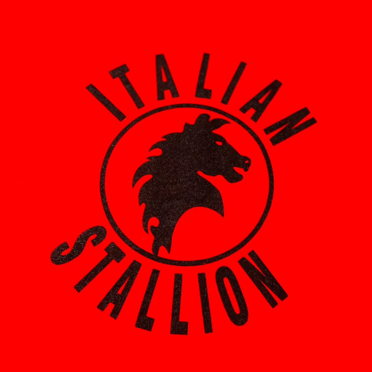 Italian Stallion Vintage Graphic T